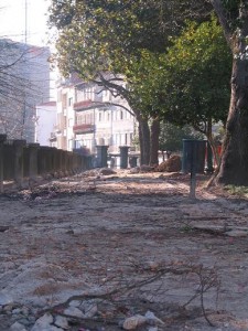 Foto: Pedro Nuno Silva