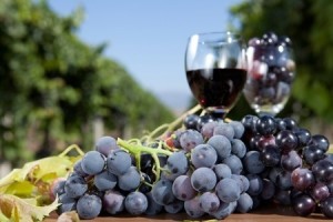enoturismo -01