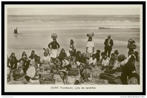 vendagem de peixe - 03