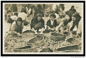 vendagem de peixe - 04