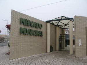 vendagem de peixe - 05