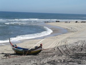 vendagem de peixe - 07