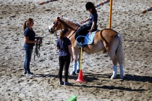 pony club - 04