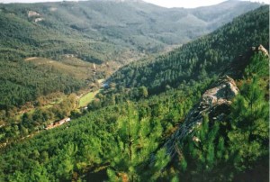 Serra de Pias (Valongo)