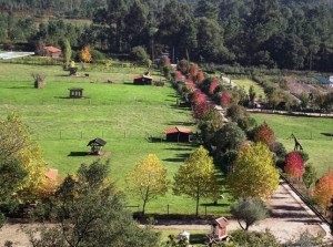 quinta de pentieiros