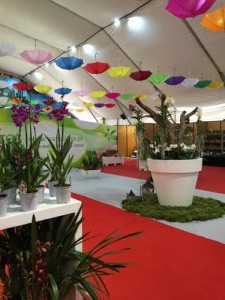 feira dos jardins - 01