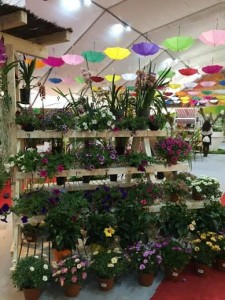 feira dos jardins - 02