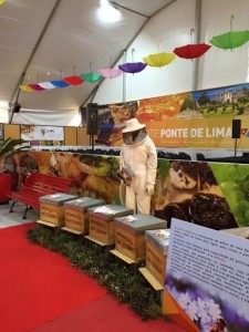 feira dos jardins - 03