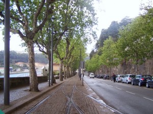 rua da restauracao - porto