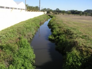 A poluída Ribeira de Paramos