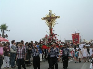 bencao-04