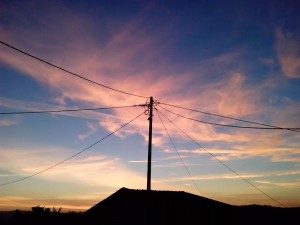 ivo-ribeiro-02-nov16