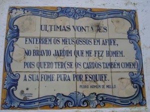 pedro-homem-de-mello-05
