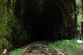 linha-alfandega-pns-05