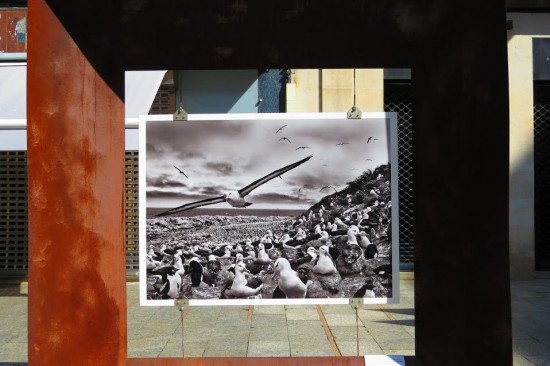 vigo - cidade - 10