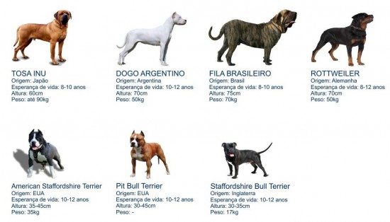 Cães potencialmente perigosos
