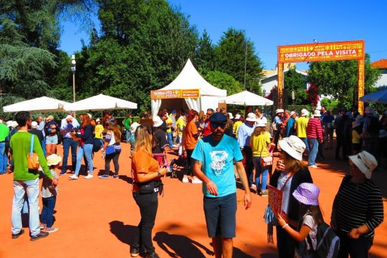 serralves festa 17 - 01