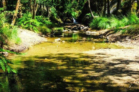 Poluição Rio Leça 02