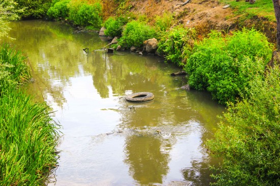 Poluição Rio Leça 05