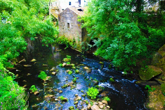 Poluição Rio Leça 08