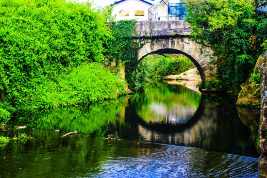 Poluição Rio Leça 10