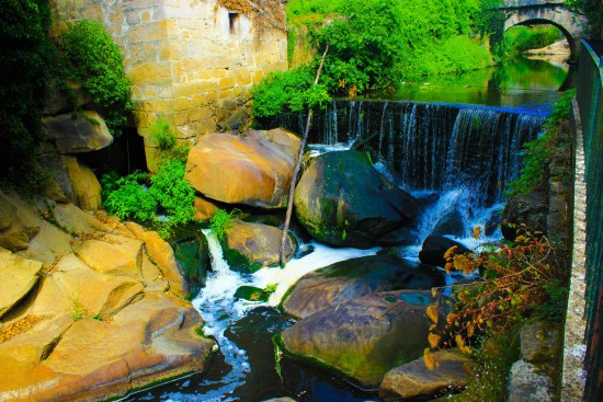 Poluição Rio Leça 11