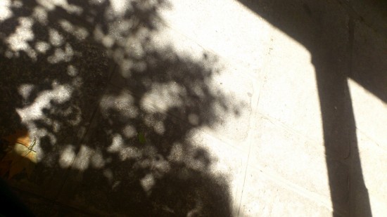 foto 2 (1)