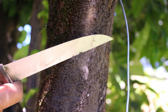 siderugia_casa_ao_lado_06