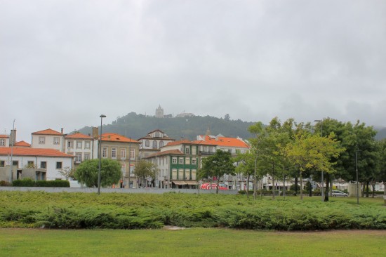 Viana17_PNS (43)