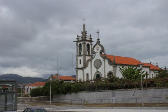 Viana17_PNS (49)