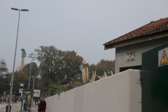 CombBoav (16) PNS-Out17