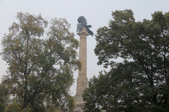 CombBoav (4) PNS-Out17