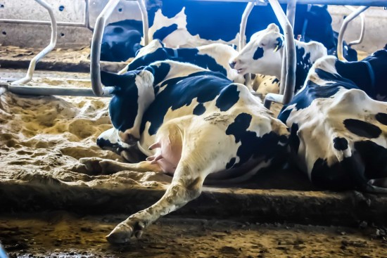 Valeand-03-out17-sss