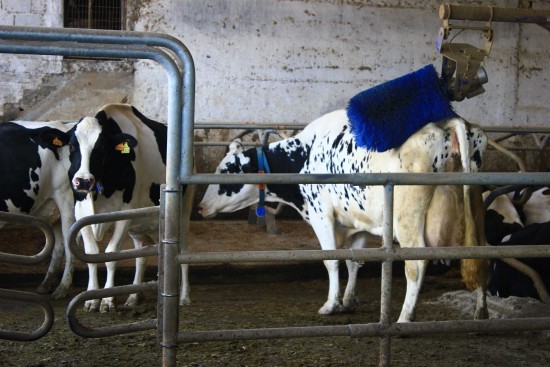 Valeand-04-out17-sss (1)