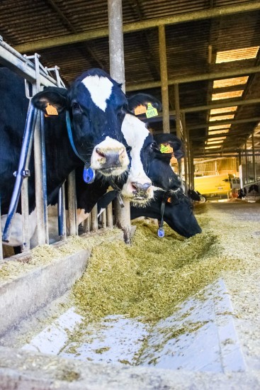 Valeand-08-out17-sss