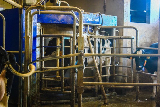 Valeand-09-out17-sss