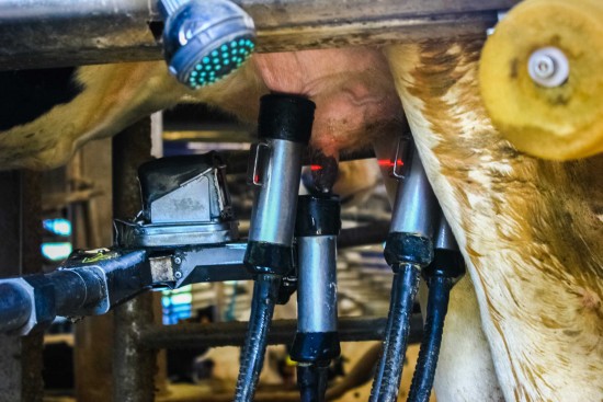 Valeand-11-out17-sss