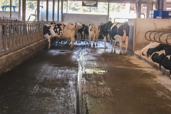 Valeand-15-out17-sss