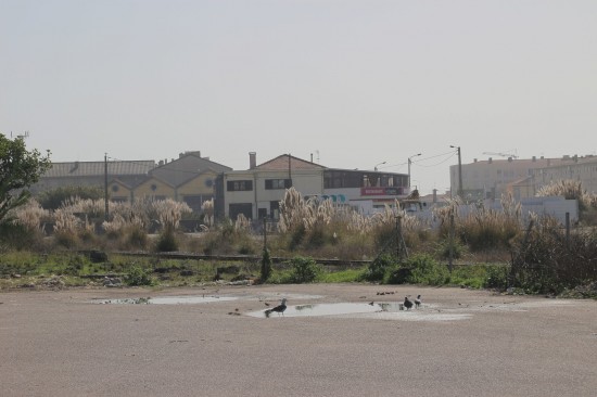 VougEsp (2) PNS_Out17