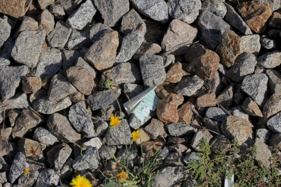 VougEsp (9) PNS_Out17