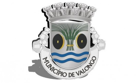 municipio de valongo - logo 00