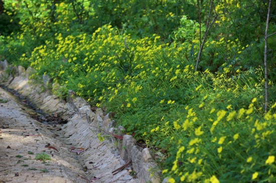 jardaguas (23)abr18-PNS