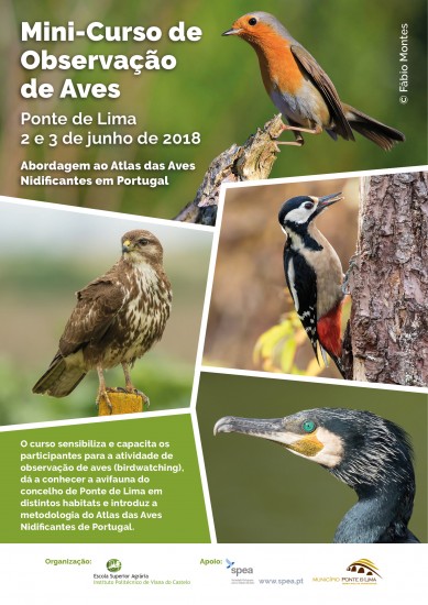 observacao_de_aves_cartaz
