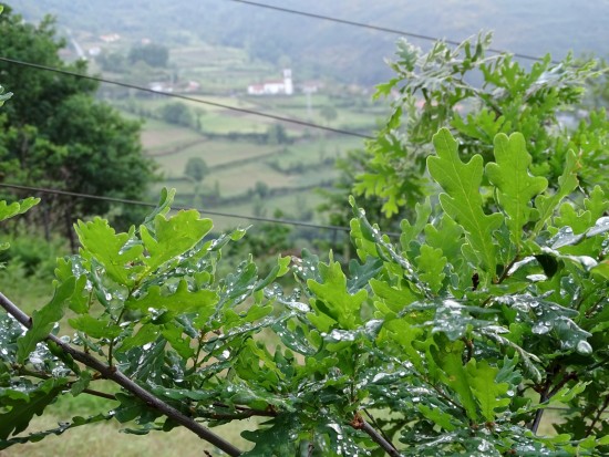 bolota-01-olhares-24_lp