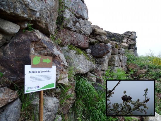 bolota-02-olhares-24_lp