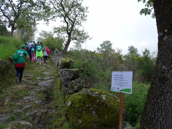 bolota-03-olhares-24_lp