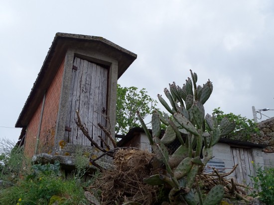 bolota-09-olhares-24_lp