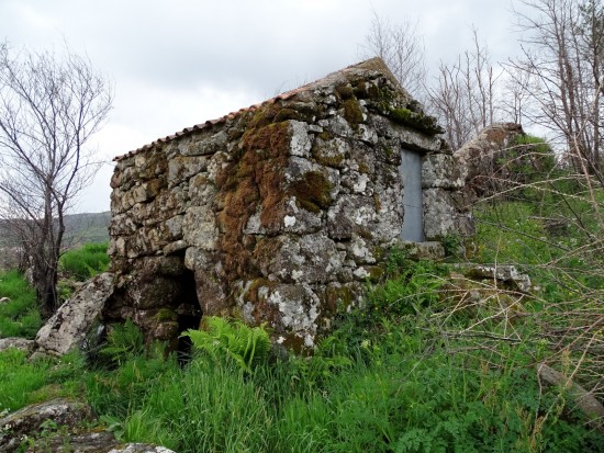 bolota-12-olhares-24_lp