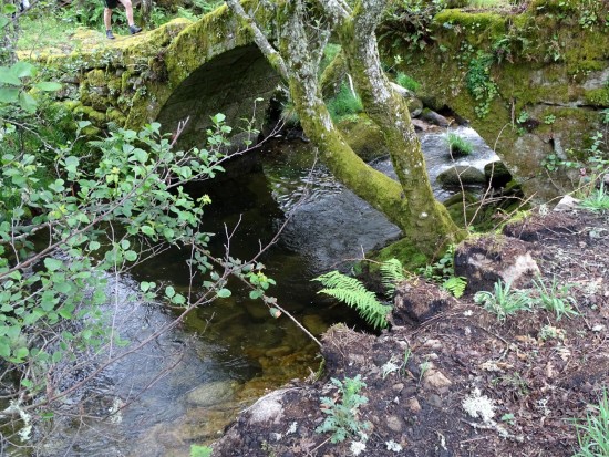 bolota-14-olhares-24_lp