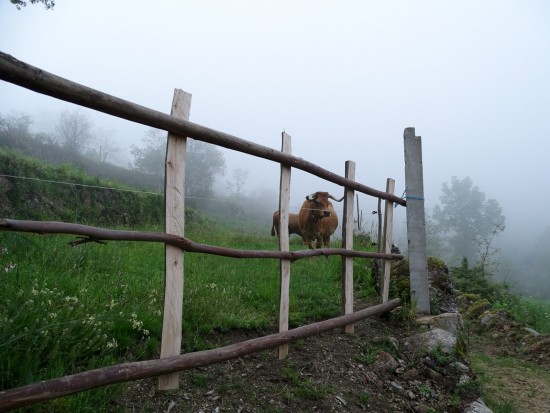 bolota-15-olhares-24_lp